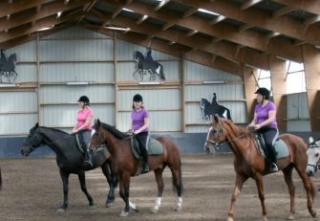 Haras du Lannoy dans le Nord
